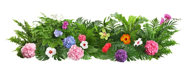 Image of Beautiful composition with tropical leaves and flowers on white background. Banner design