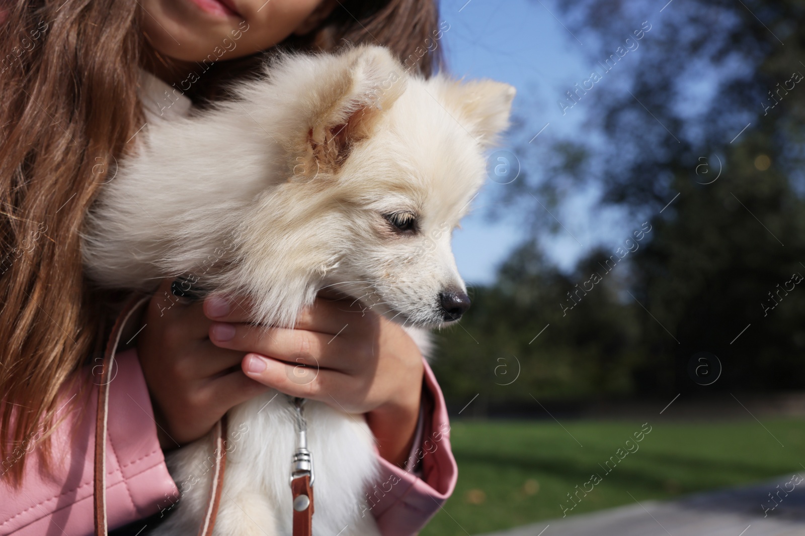 Photo of Little girl with her cute dog in park, closeup. Autumn walk