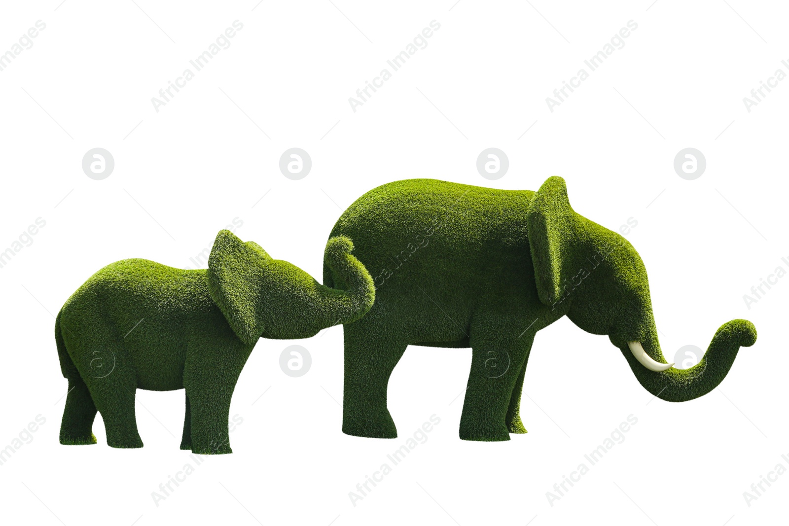 Image of Beautiful elephant shaped topiaries isolated on white. Landscape gardening