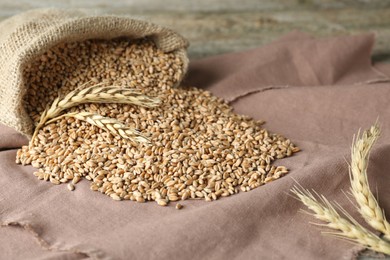 Photo of Sack with wheat grains on table. Cereal plant