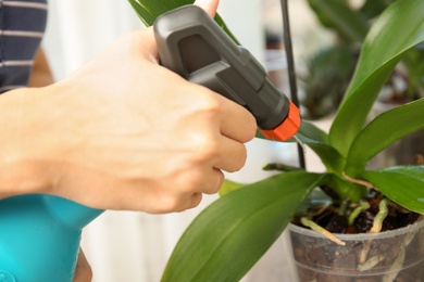 Photo of Woman spraying orchid plant on window sill, closeup