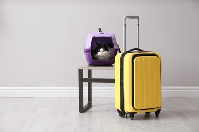 Cute cat sitting in pet carrier and suitcase indoors. Space for text