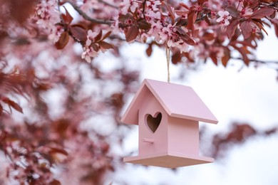 Photo of Pink bird house with heart shaped hole hanging from tree branch outdoors