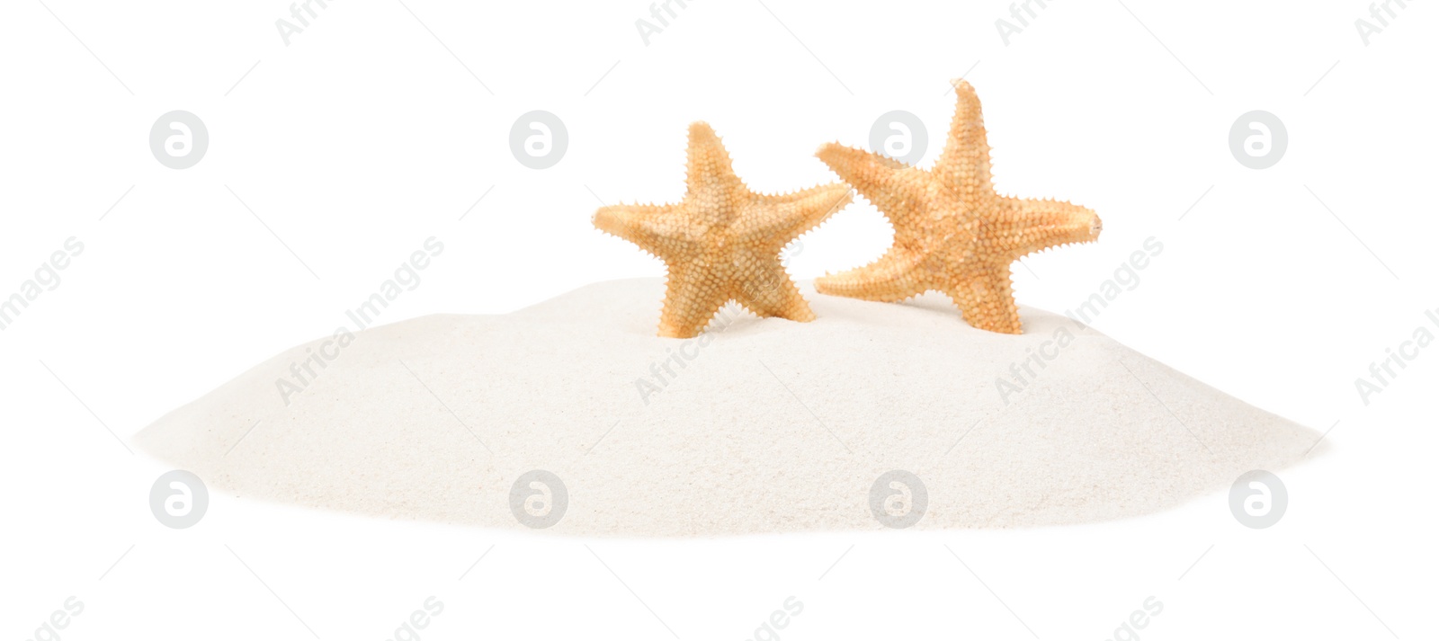 Photo of Beautiful sea stars in sand on white background