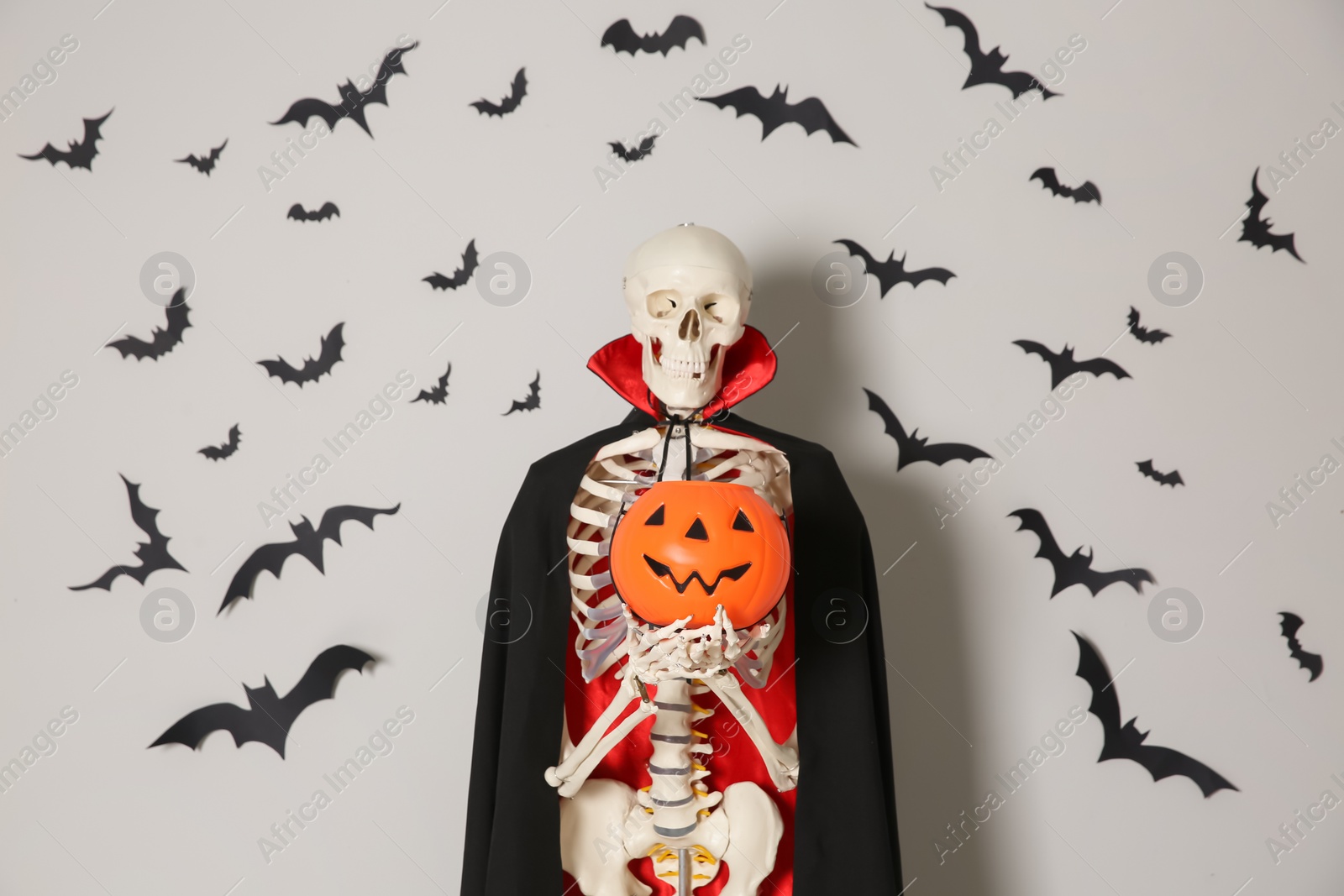 Photo of Skeleton in cloak with pumpkin and paper bats on light wall