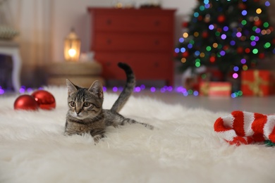 Photo of Grey tabby cat on fuzzy carpet in room decorated for Christmas. Adorable pet