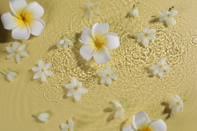 Photo of Beautiful flowers in water on pale yellow background, top view