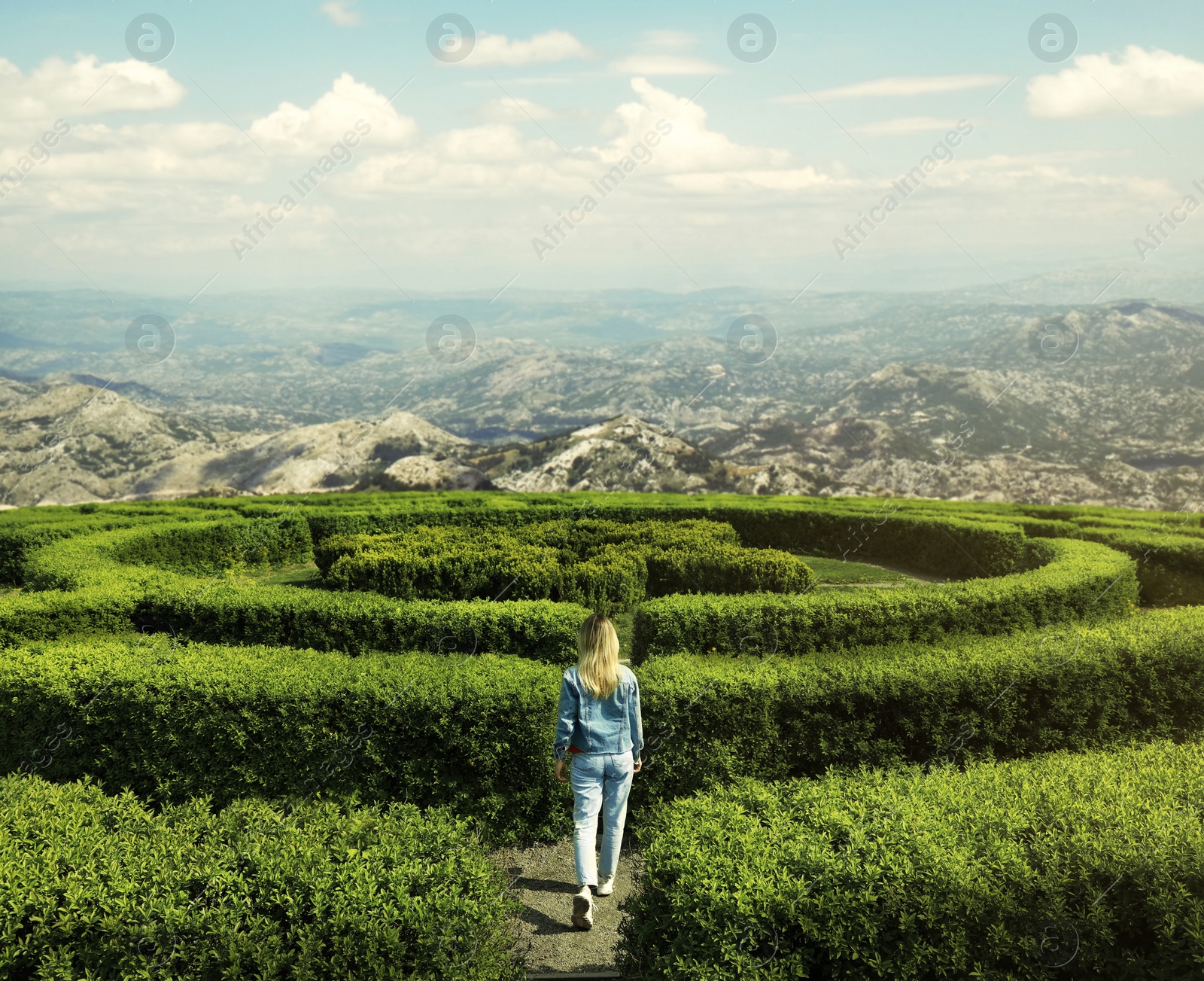 Image of Young woman in hedge maze on sunny day, back view