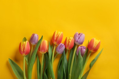 Photo of Many beautiful tulips on yellow background, flat lay. Space for text