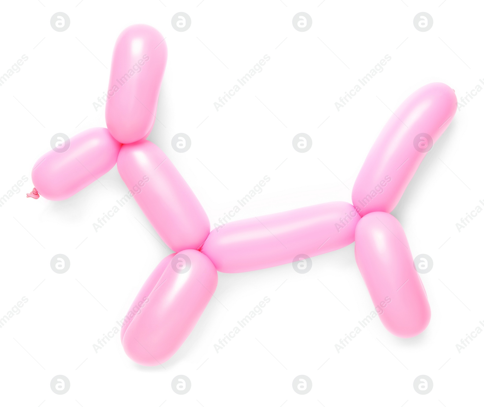 Photo of Pink dog figure made of modelling balloon on white background, top view