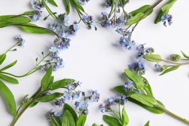 Frame of beautiful forget-me-not flowers on white background, top view. Space for text