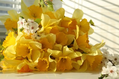 Yellow daffodils and beautiful white flowers of plum tree on windowsill, closeup