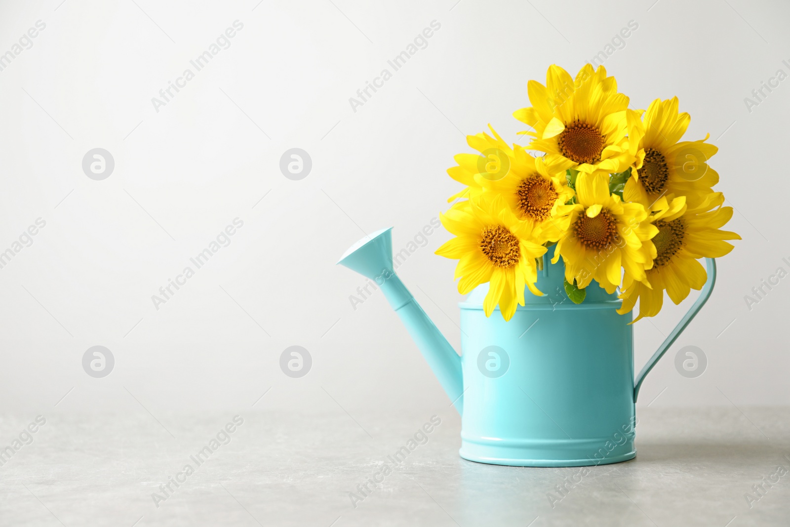 Photo of Watering can with beautiful yellow sunflowers on table