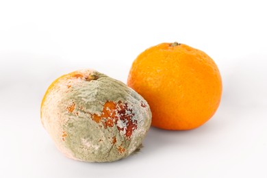 Photo of Tangerine covered with mildew and fresh one on white background