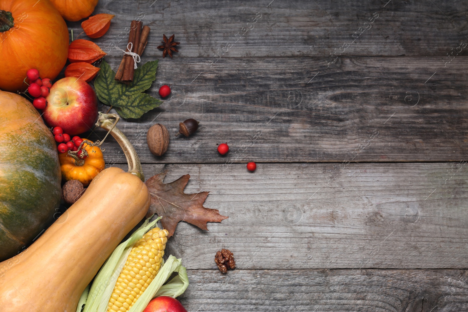 Photo of Happy Thanksgiving day. Flat lay composition with pumpkins on wooden table, space for text