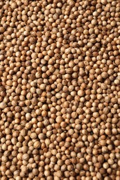 Photo of Dried coriander seeds as background, top view