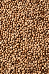 Dried coriander seeds as background, top view