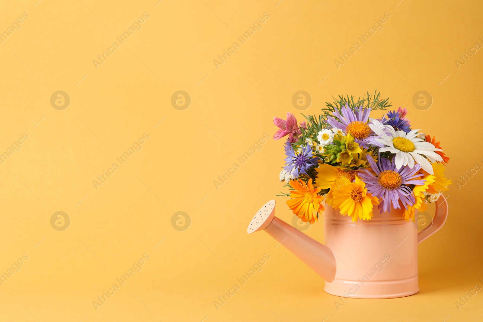 Photo of Pink watering can with beautiful flowers on yellow background, space for text