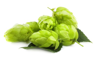 Photo of Pile of fresh green hops on white background