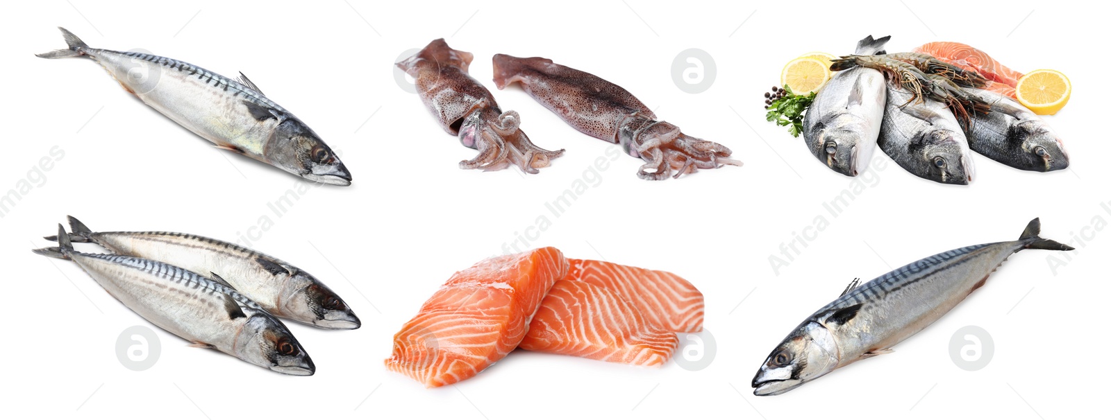 Image of Collage with different seafood on white background