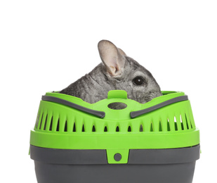 Photo of Cute grey chinchilla inside carrier on white background