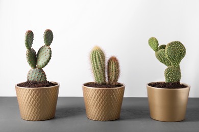 Different cacti in pots on gray wooden table