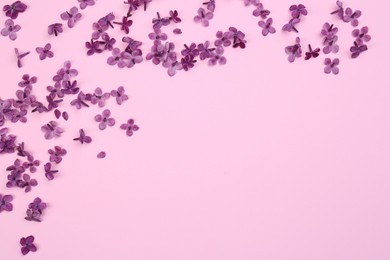Photo of Beautiful lilac flowers on pink background, flat lay. Space for text