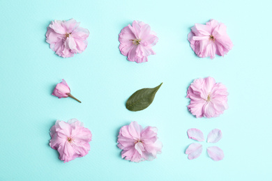 Photo of Beautiful sakura blossom and leaf on light blue background, flat lay. Japanese cherry