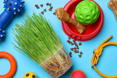 Photo of Flat lay composition with pet toys, food and accessories on light blue background