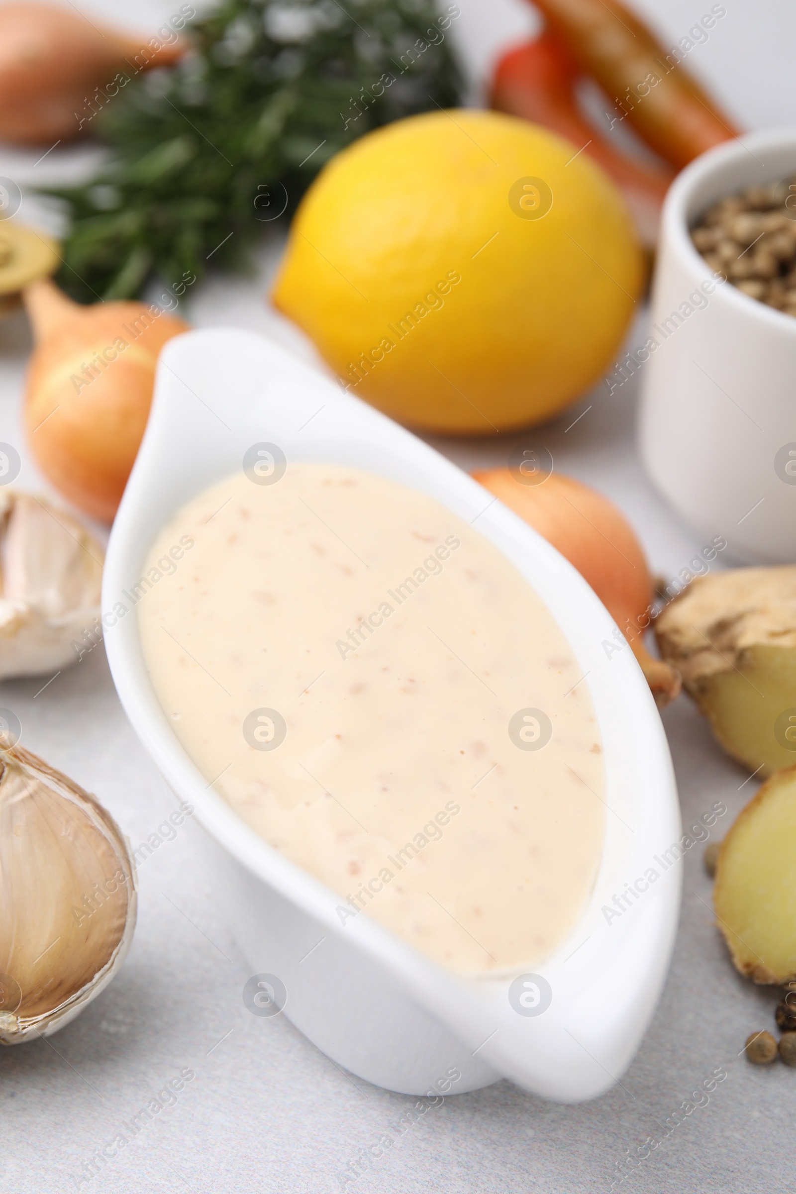 Photo of Fresh marinade and different ingredients on light grey table, closeup