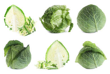 Set of fresh ripe cabbages on white background