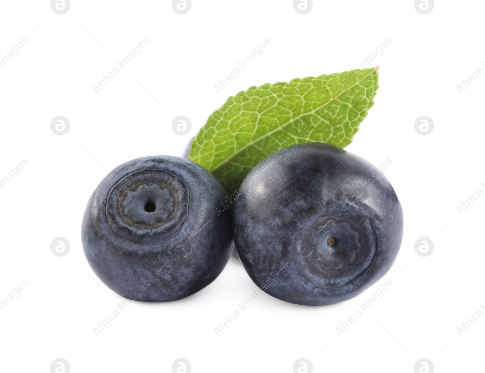 Photo of Delicious ripe bilberries and green leaf isolated on white. Seasonal berries