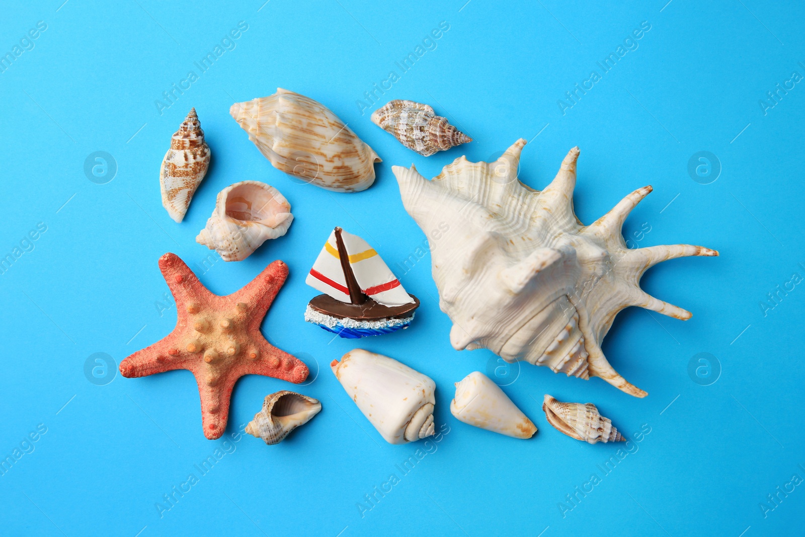 Photo of Beautiful starfish, decorative ship and shells on blue background, flat lay