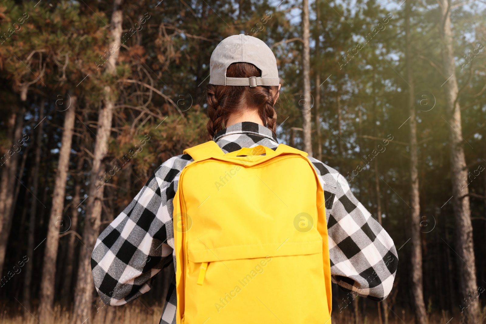 Photo of Woman with backpack walking in forest, back view