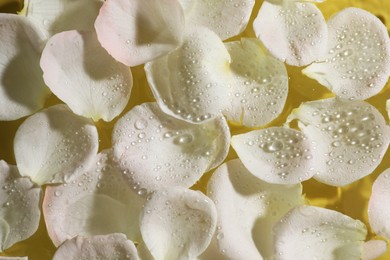 Photo of Beautiful rose petals on water, top view