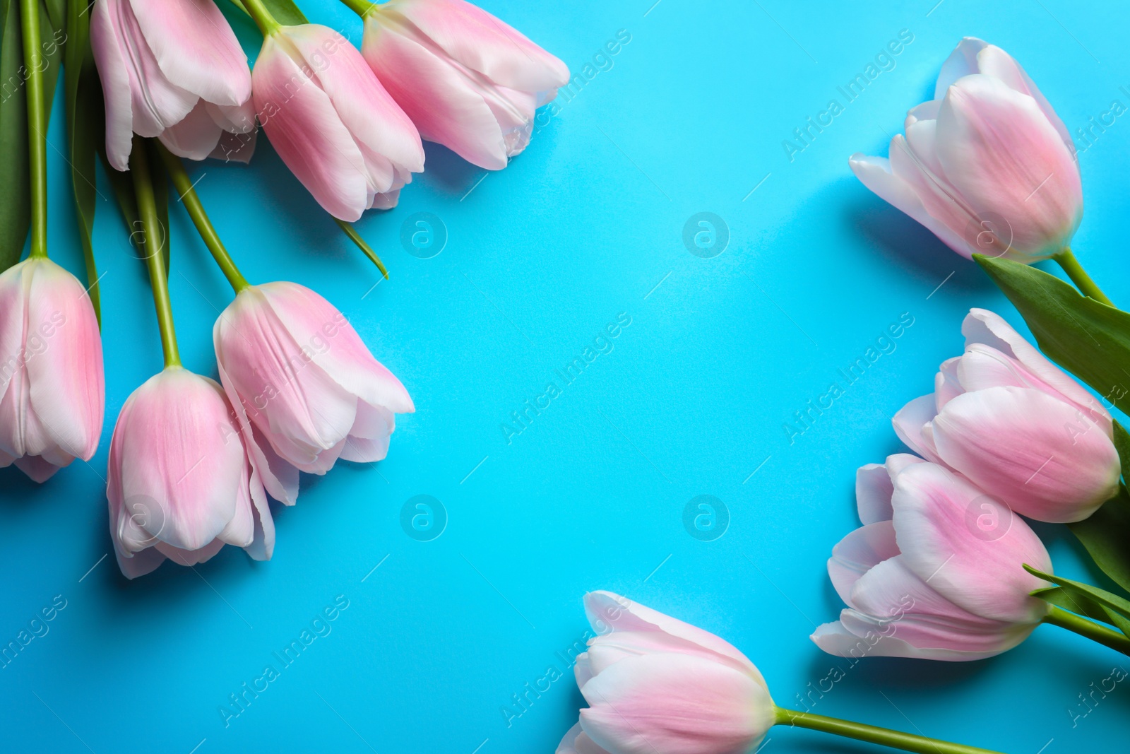 Photo of Beautiful composition with tulips for Mother's Day on color background