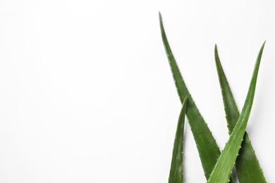 Photo of Green aloe vera leaves on white background, flat lay. Space for text