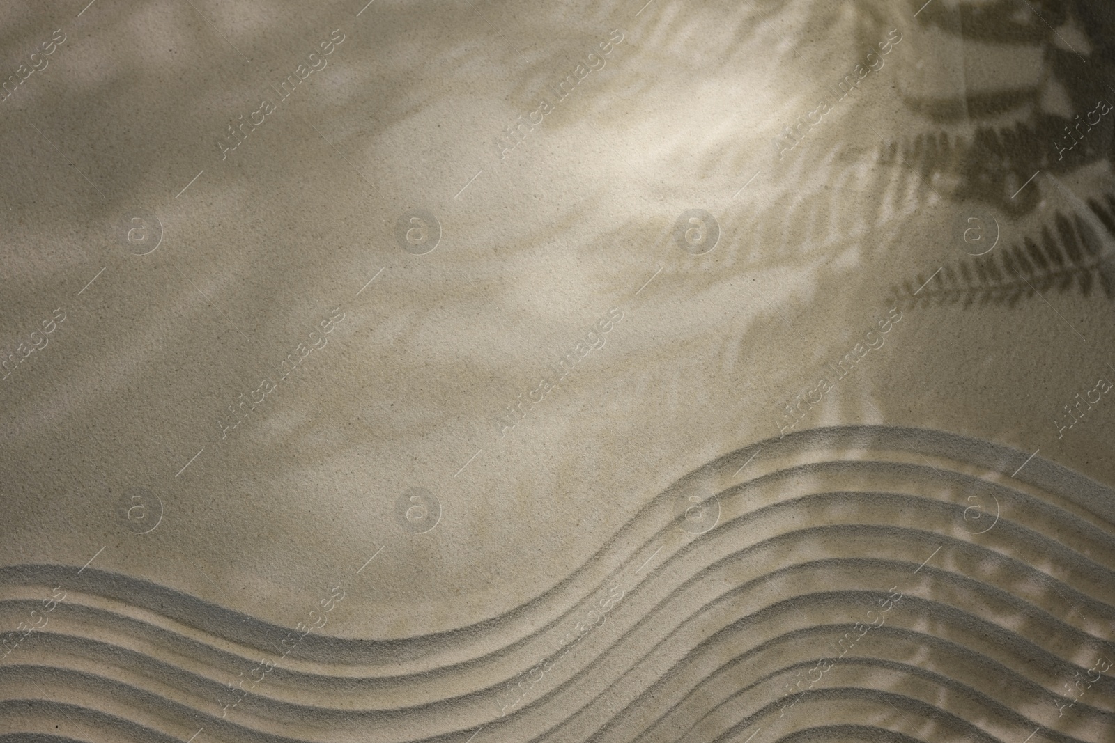 Photo of Beautiful lines and shadows of leaves on sand, top view with space for text. Zen garden