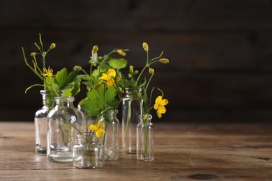 Celandine flowers in glass bottles on wooden table, space for text