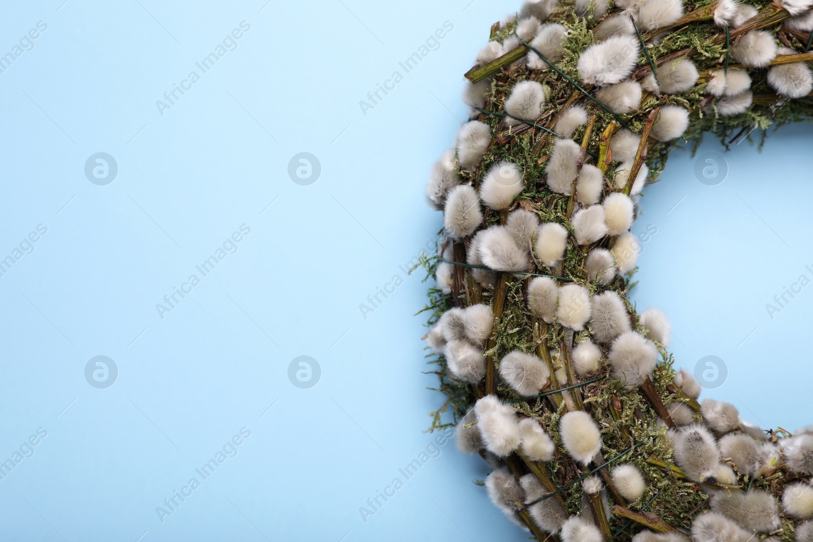 Photo of Wreath made of beautiful willow flowers on light blue background, top view. Space for text