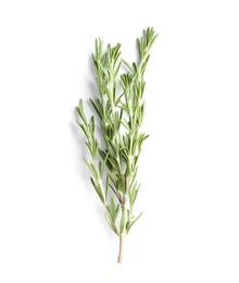 Photo of Fresh rosemary on white background