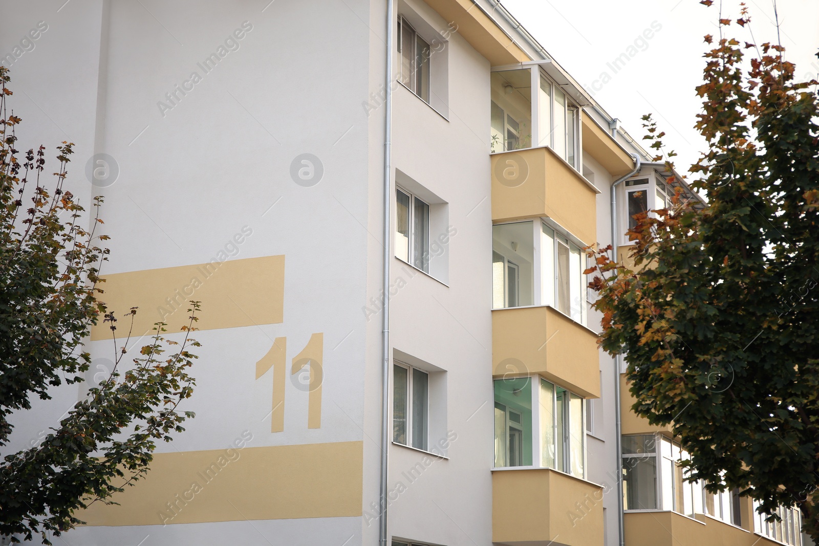 Photo of House number eleven on beige wall outdoors