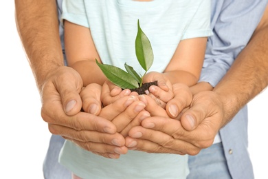 Family holding soil with green plant in hands on white background