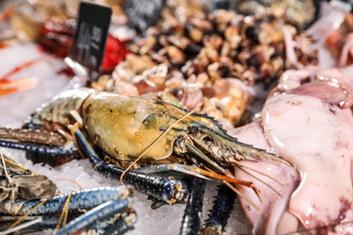 Malaysian freshwater prawn and other seafood on ice. Wholesale market