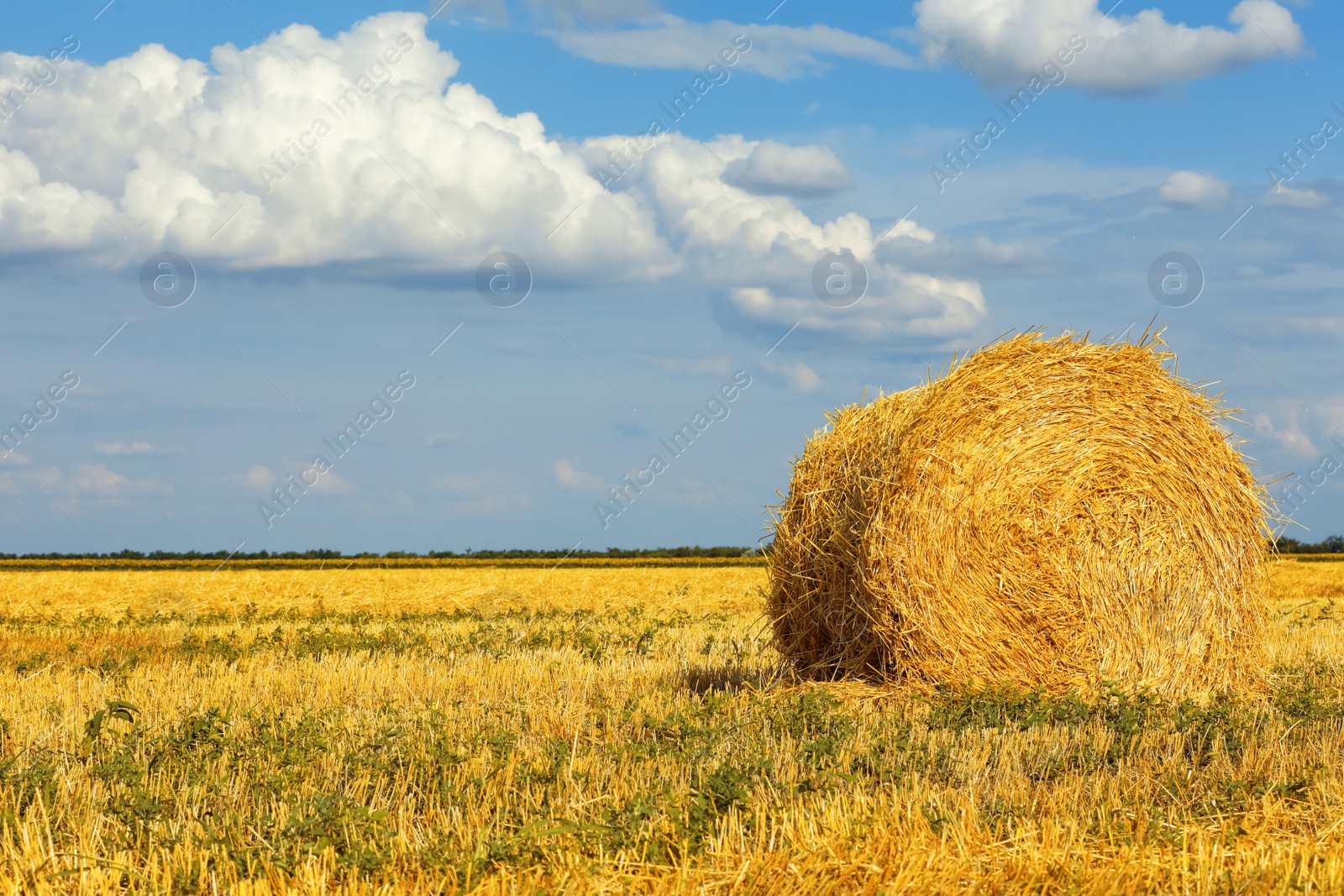 Photo of Beautiful view of agricultural field with hay bale