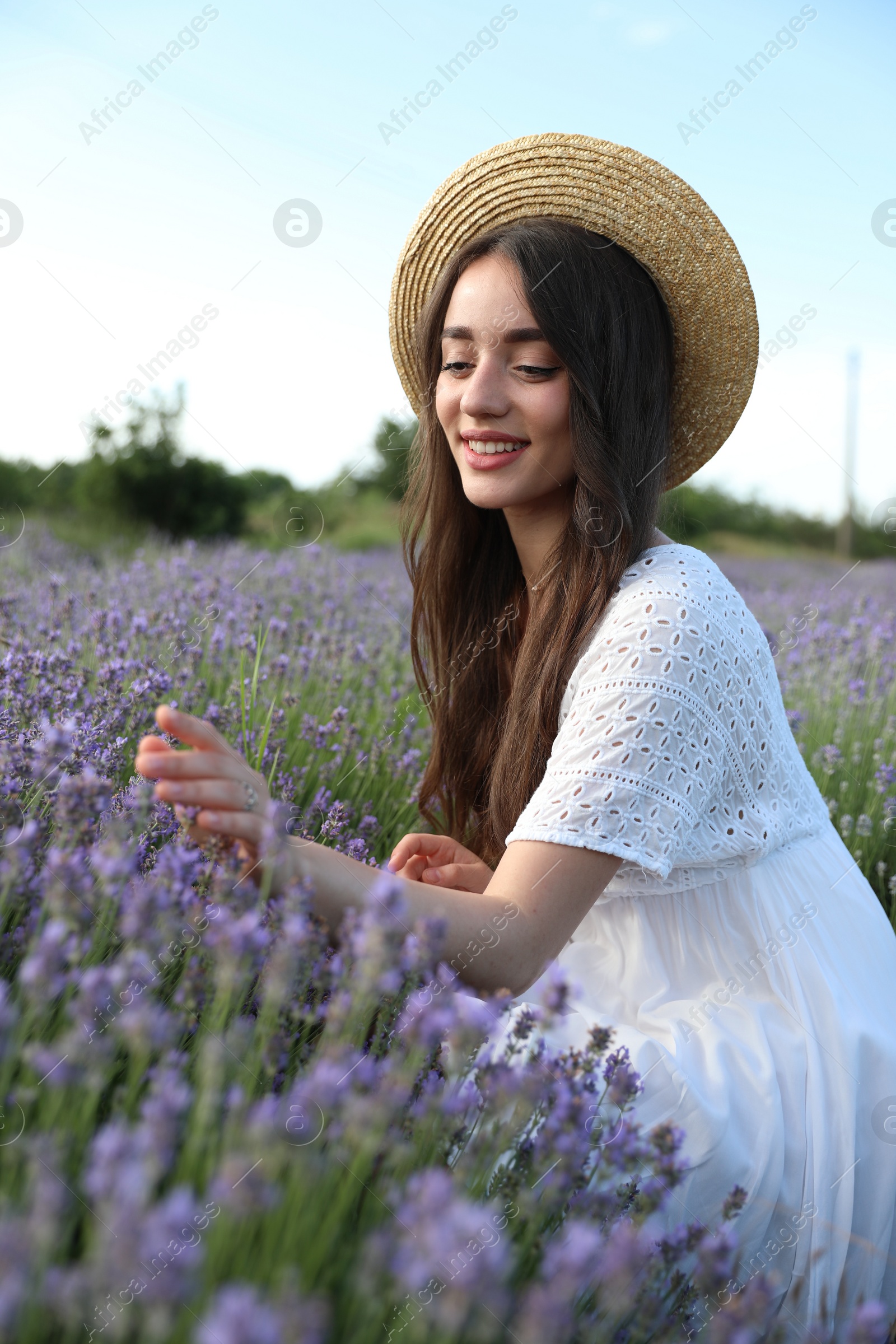 Photo of Young woman in lavender field on summer day