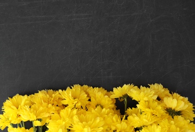 Photo of Beautiful yellow flowers on blackboard, flat lay with space for text. Happy Teacher's Day