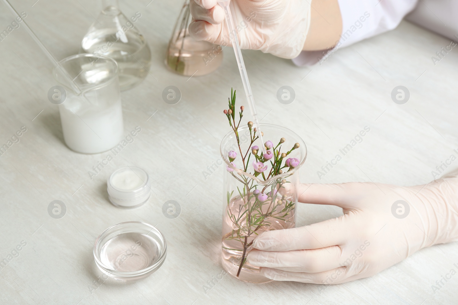 Photo of Scientist developing cosmetic product in laboratory, closeup