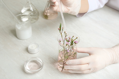 Photo of Scientist developing cosmetic product in laboratory, closeup