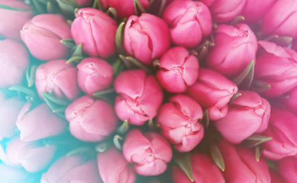 Image of Fresh beautiful tulip flowers as background, top view